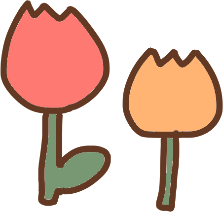 tulipes